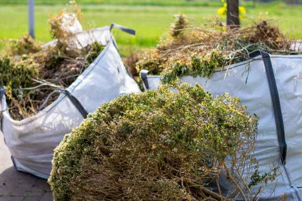 Best Construction Debris Removal  in Stanton, KY